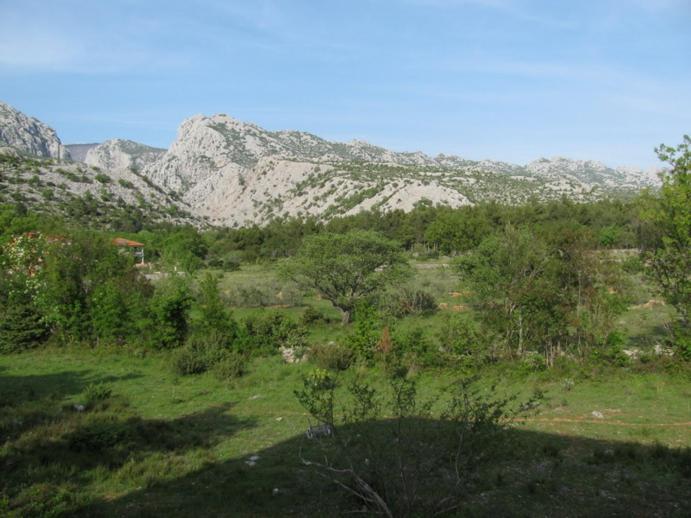 Paklina Apartments Starigrad Paklenica Exterior foto